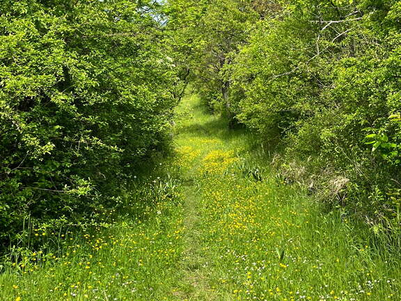 22-05-08 11-38-42 0770